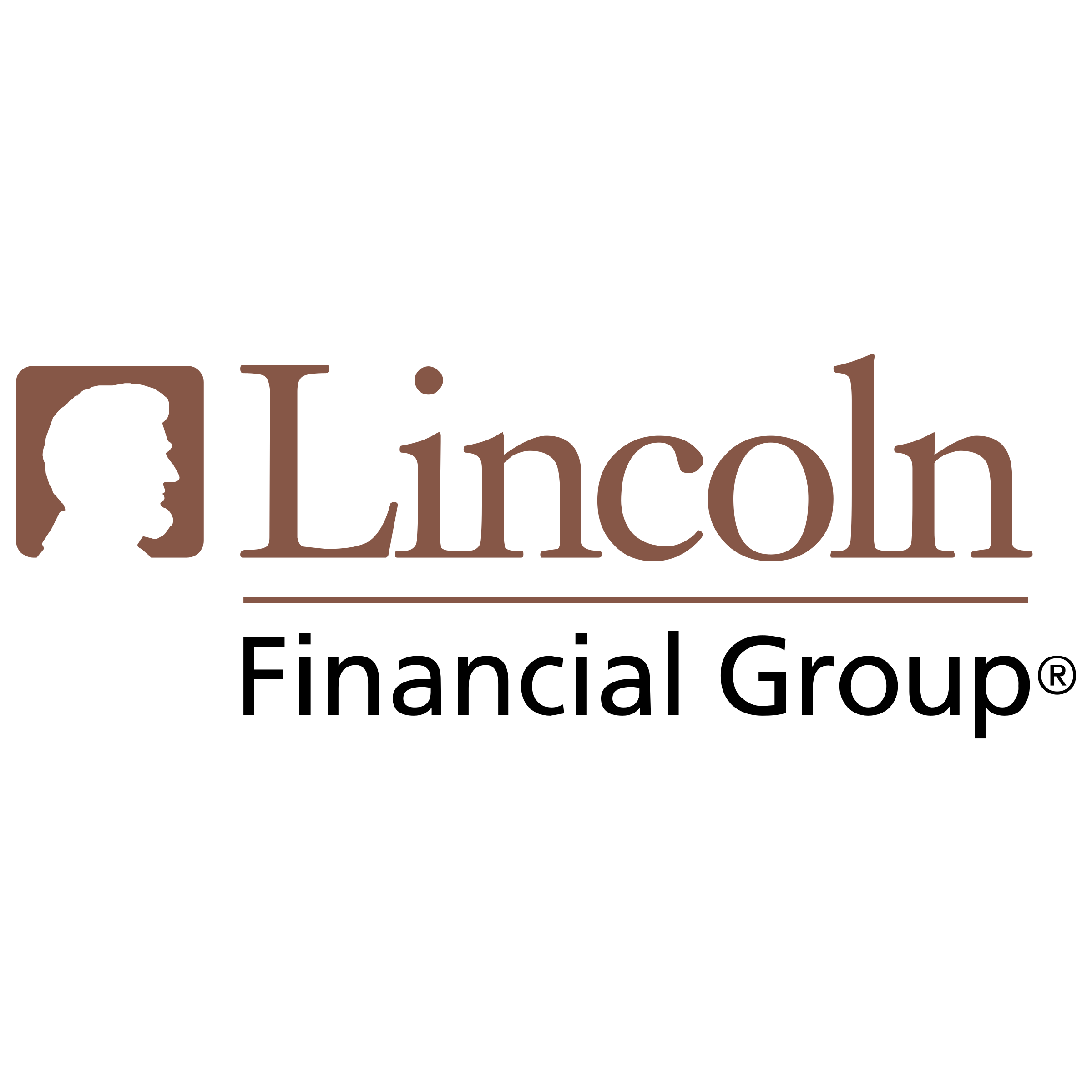 Lincoln Financial Group